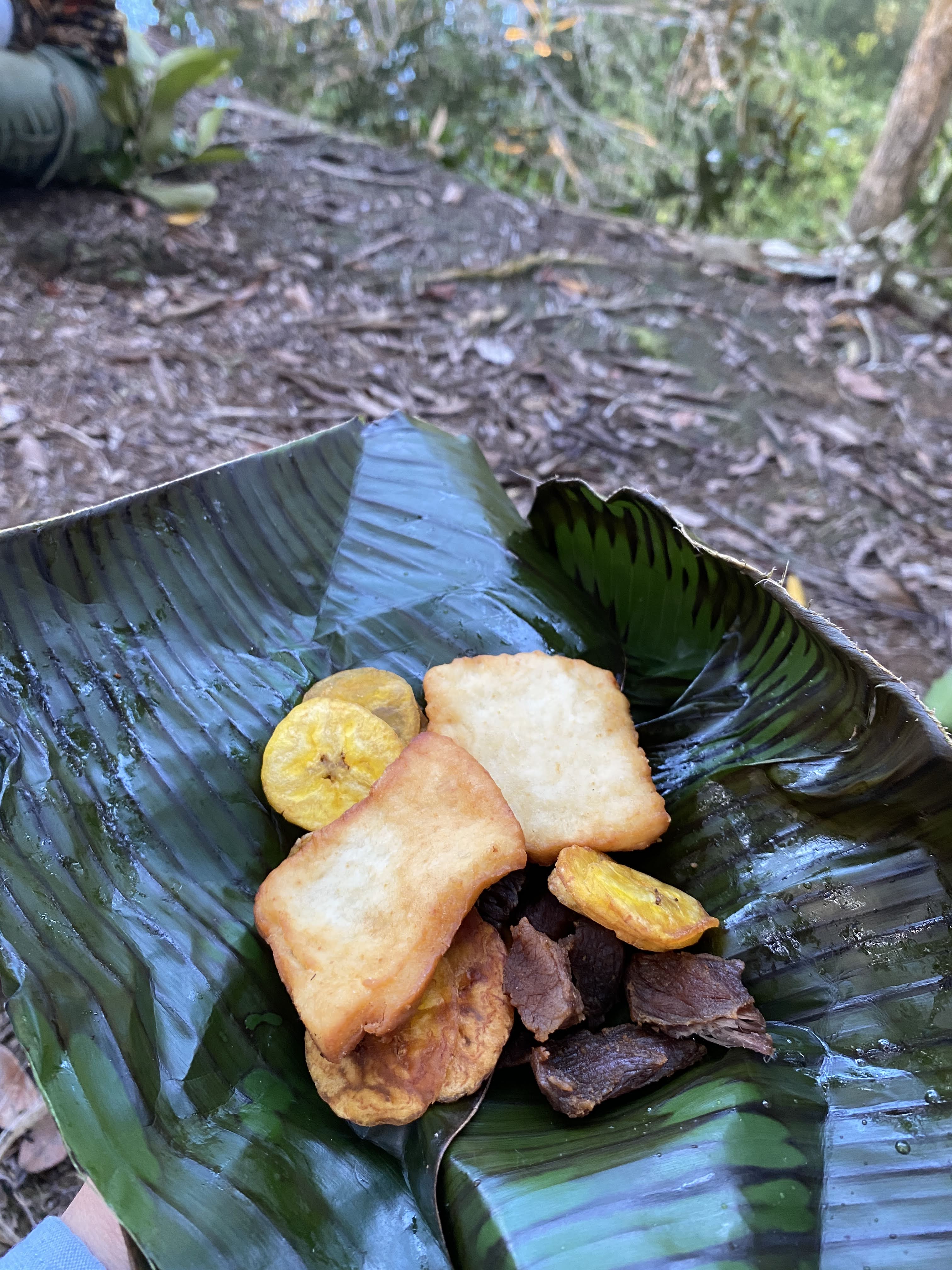 Comida típica llanera